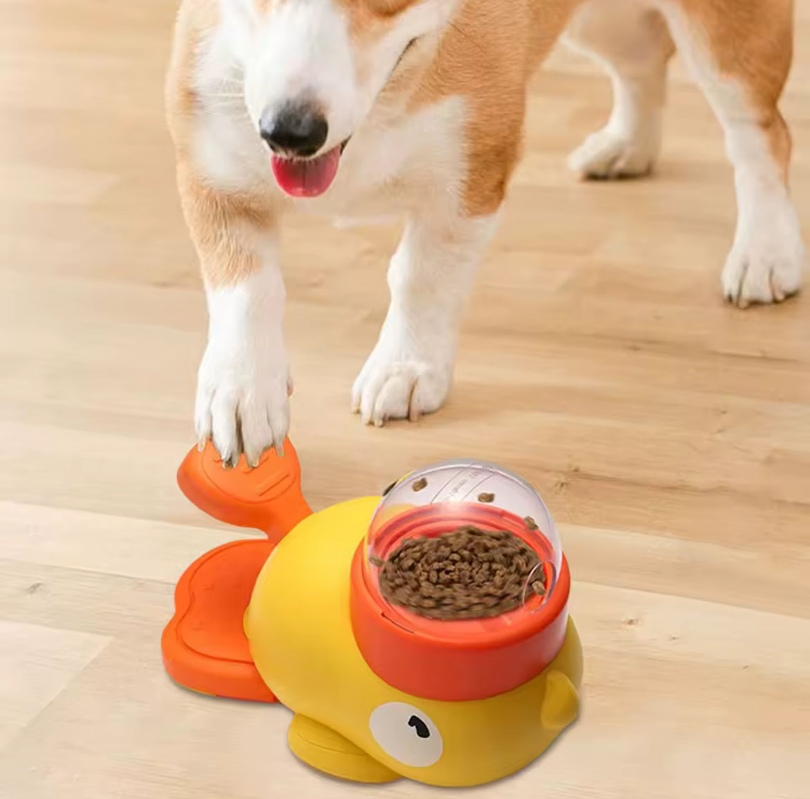 Duck Dog Feeder